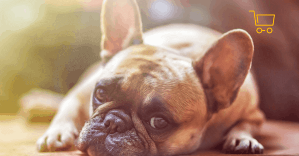 Pet Marketplace