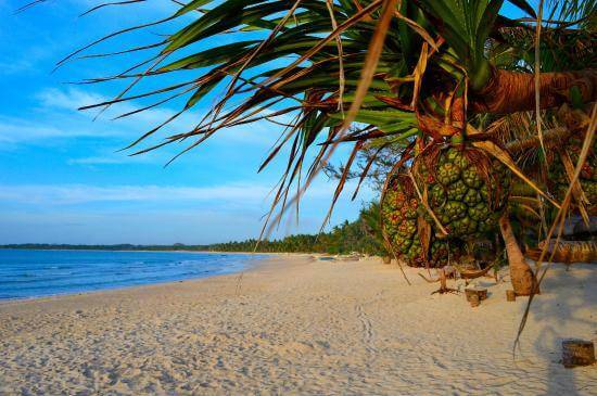 Palani White Beach Masbate
