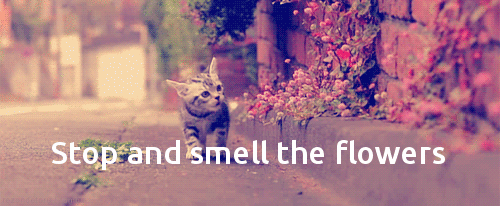 Stop and smell the flowers