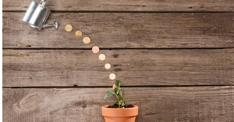A potted plant is watered with coins to highlight a unique investment opportunity.