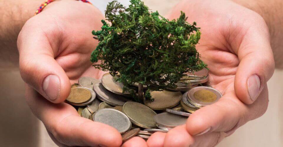 investment growth
