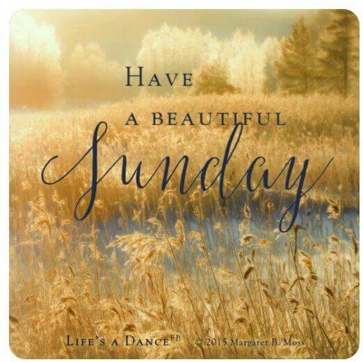 Sunlit meadow with tall grasses, accompanied by elegant script reading, "Have a Beautiful Sunday," perfectly capturing the essence of uplifting Sunday quotes to inspire your day.