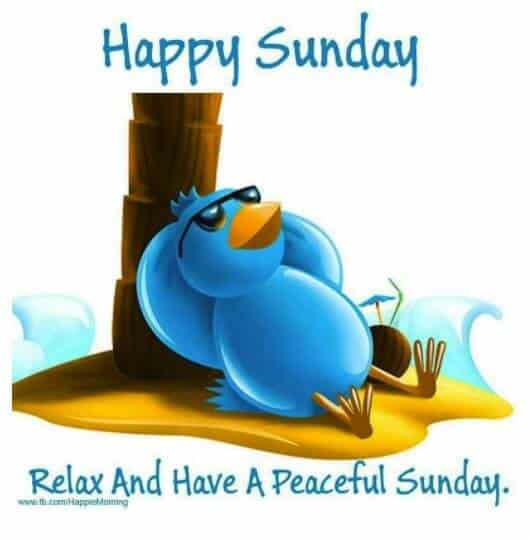 A cartoon blue bird, sporting stylish sunglasses, lounges against a tree on the sandy shore with waves gently lapping nearby. Text: Happy Sunday! Relax and have a peaceful day with some of the best Sunday quotes to inspire your week ahead.