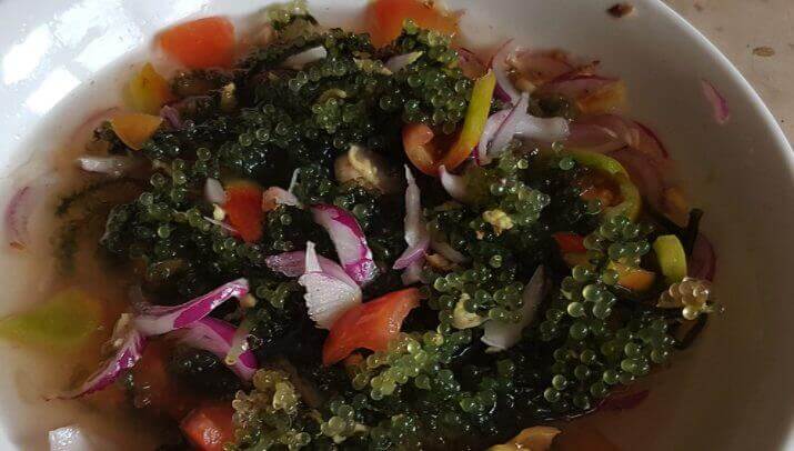 lato salad