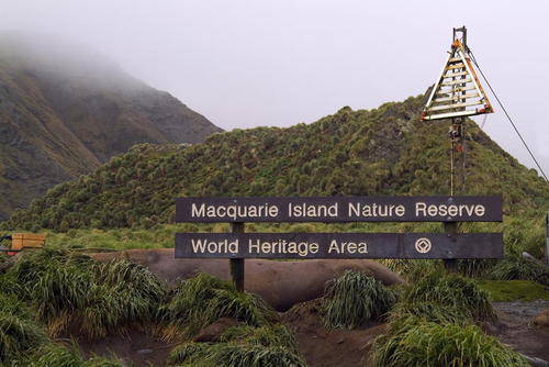 A sign at the entrance to a nature reserve where Penguins rule.