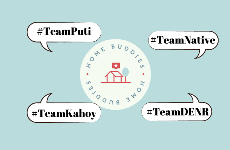 Homebuddies: What team are you in?