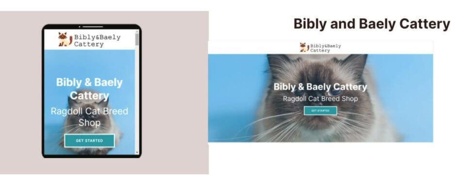 Free website design for small business cattery based in the Philippines.