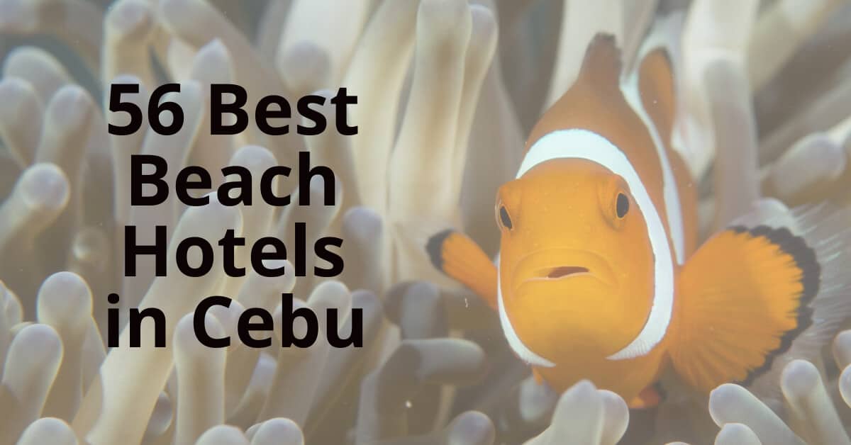 best beach hotels