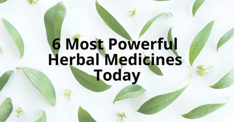 herbal meds