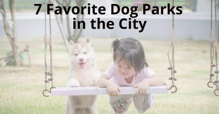 dog parks manila
