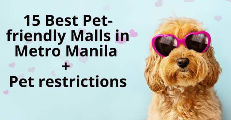 pet friendly malls restrictions