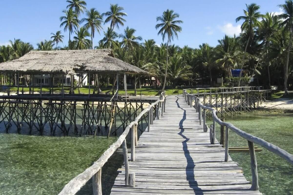 Visit a wooden walkway leading to a thatched-roof structure on stilts amidst tropical palm trees at Siargao Resorts.