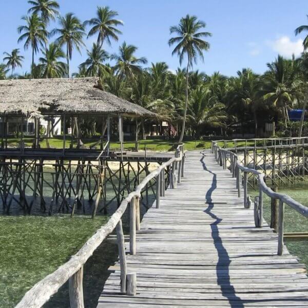 Visit a wooden walkway leading to a thatched-roof structure on stilts amidst tropical palm trees at Siargao Resorts.