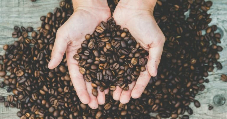 A pair of hands holding roasted coffee beans over a wooden surface covered with more Manila coffee beans, emphasizing abundance and nature's gift.
