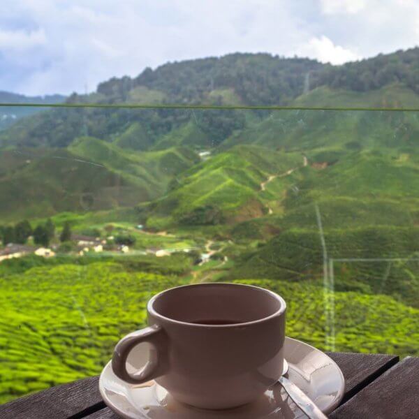 A white cup and saucer with a hot beverage sit on a wooden table in the foreground. The background reveals a breathtaking view of lush, green hills and valleys in Baguio under a partly cloudy sky, with a glass barrier providing an unobstructed scenic vista. It's truly a must-visit coffee shop experience.