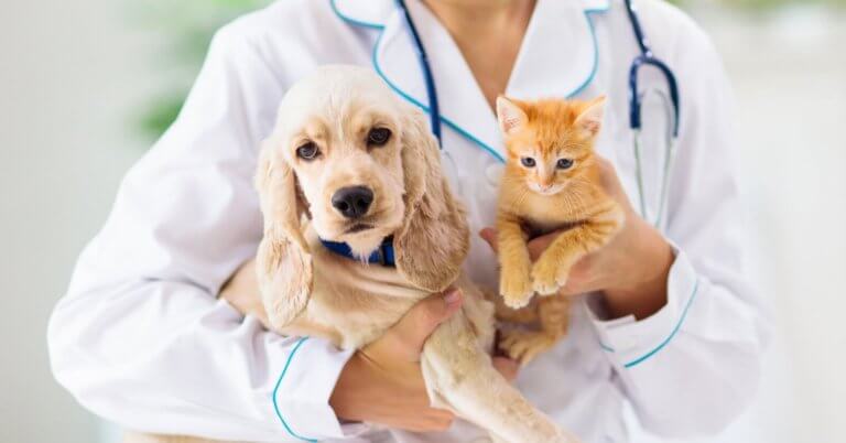 A veterinarian dressed in a white coat and stethoscope holds a small light brown puppy on the left and an orange kitten on the right. Both animals look calm, gently cradled in the vet's arms, at one of Metro Manila's top veterinary clinics. The background is soft-focused, suggesting an indoor medical setting.