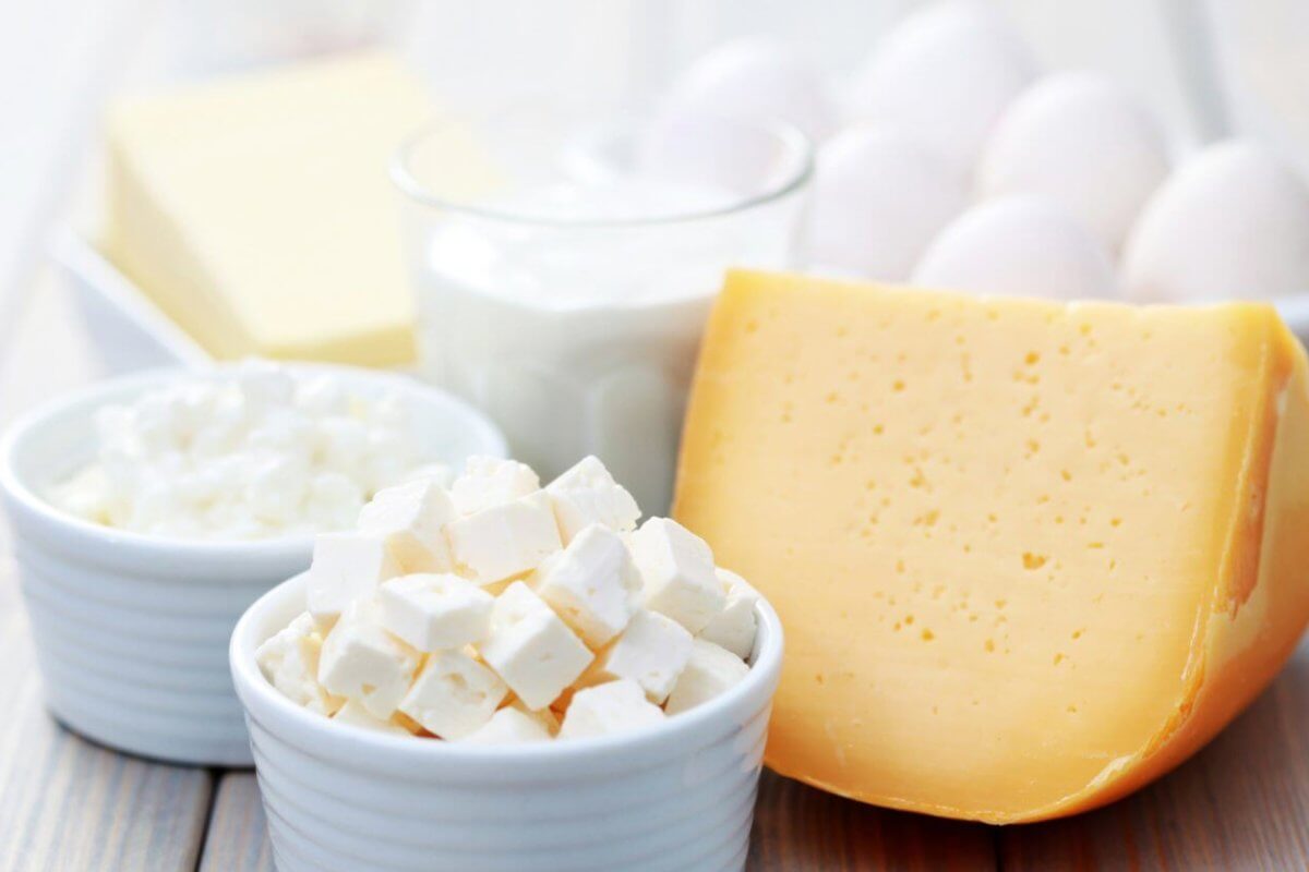 A wooden table in Metro Manila showcases a variety of dairy products supplied by local Dairy Product Suppliers, including a block of cheddar cheese, a bowl of white feta cheese cubes, cottage cheese, glass of milk, dish of butter, and a bowl of eggs. The items are elegantly arranged in white bowls and on plates.