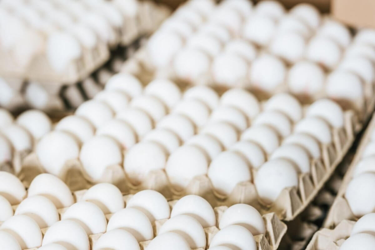 Multiple open cartons of white eggs are closely packed together, neatly organized in rows to create a repetitive pattern. The background is slightly blurred, focusing attention on the smooth, clean eggs arranged in stacks. Ideal for any wholesale egg supplier in Metro Manila.