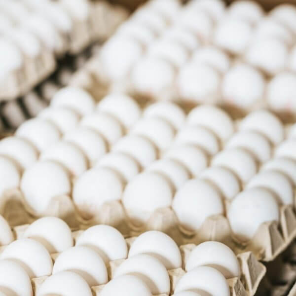 Multiple open cartons of white eggs are closely packed together, neatly organized in rows to create a repetitive pattern. The background is slightly blurred, focusing attention on the smooth, clean eggs arranged in stacks. Ideal for any wholesale egg supplier in Metro Manila.