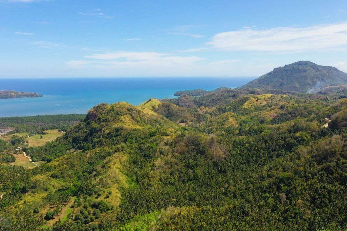 Aerial view of Northern Mindanao's lush, green hilly landscape stretching towards a calm, bright blue sea under a clear sky. Dense forests cover the hills, with patches of fields and sparse trees. In the distance, low-lying lands extend to the shoreline, with mountains visible on the horizon.